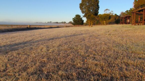 Cold, mornings, fog and frost NSW June 17 to 22 2024.