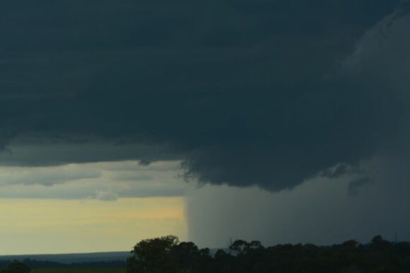 A week of rain and storms late November 2024 for eastern and southern Australia