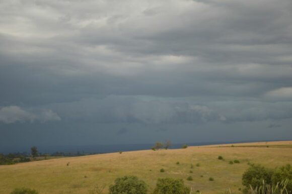 A week of rain and storms late November 2024 for eastern and southern Australia