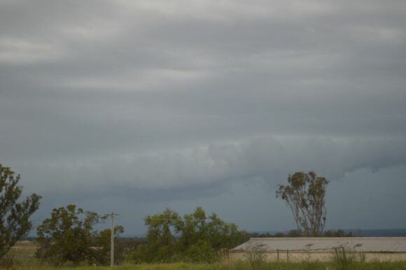 Sydney storm event Sunday evening 17 November 224