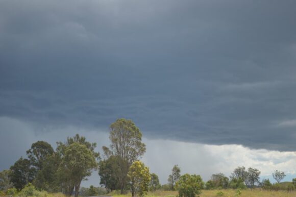 Severe storms Sydney and Wollongong Sunday 1 December 2024