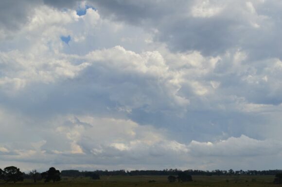 Coastal storms Wednesday 1 January 2025 Sydney to Araleun New South Wales.