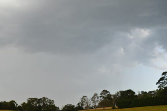 Showers and storms and severe warned storms across the Southern Highlands Saturday 4 January 2025. 