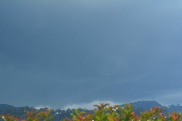 Upper Hunter Valley storms Friday 10 January 2025.