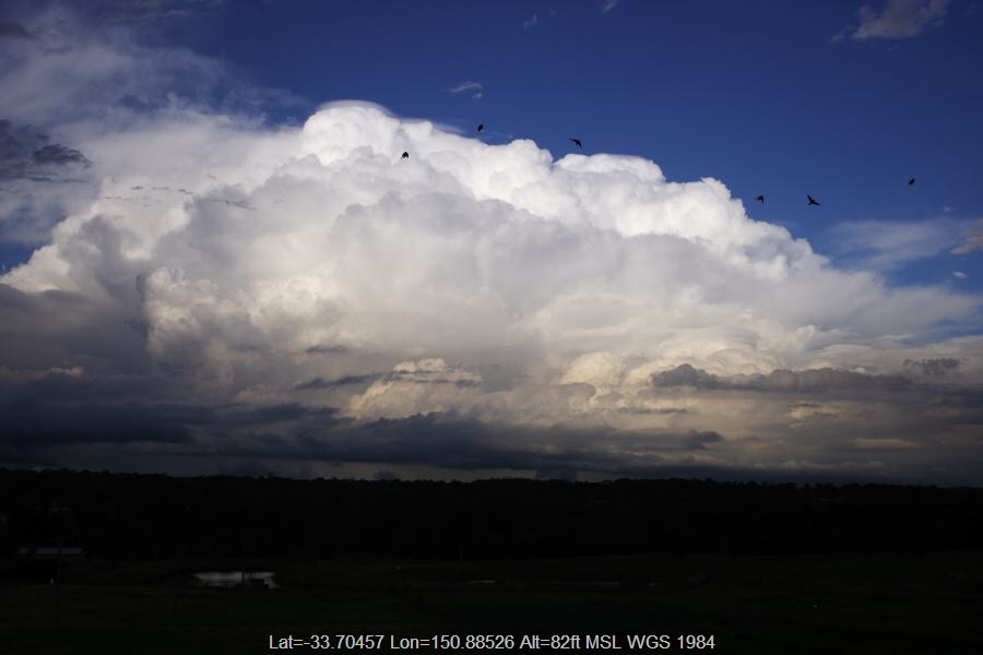 Gallery: Pileus Cap Clouds
