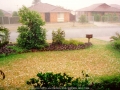 19940201mb13_precipitation_rain_oakhurst_nsw