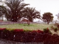 19970920jd12_precipitation_rain_schofields_nsw