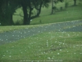 20081218mb33_precipitation_rain_kyogle_nsw