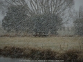 20090715mb08_precipitation_rain_guyra_nsw