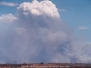 Pyrocumulus Clouds