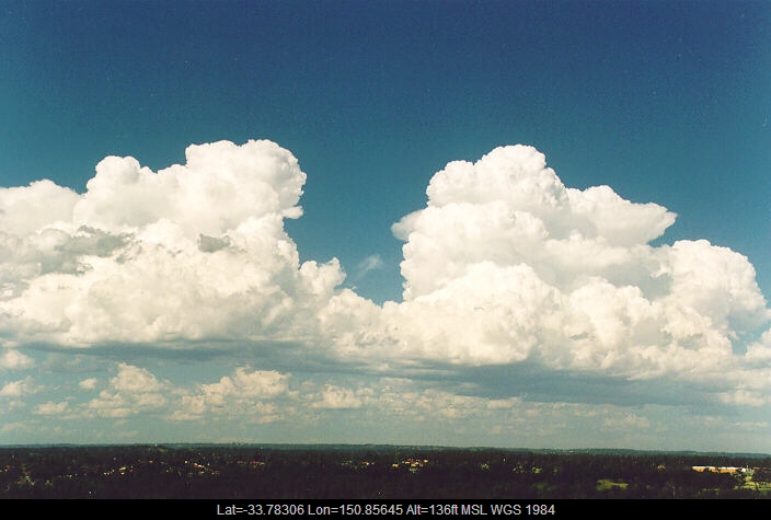 19951218mb11_congestus_rooty_hill_nsw