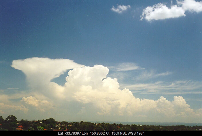 19980201mb05_congestus_rooty_hill_nsw