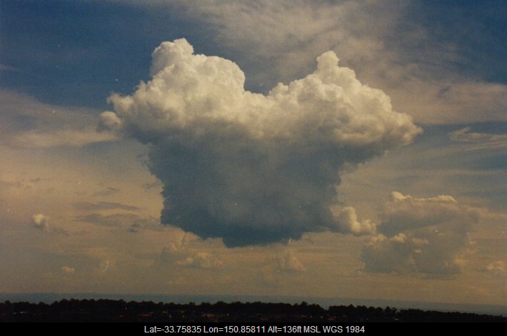 19990313mb05_congestus_rooty_hill_nsw