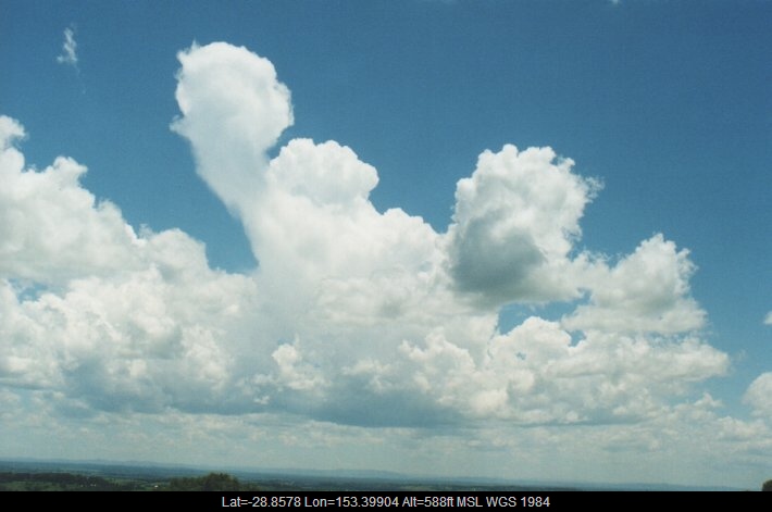 20000105mb01_congestus_rous_nsw