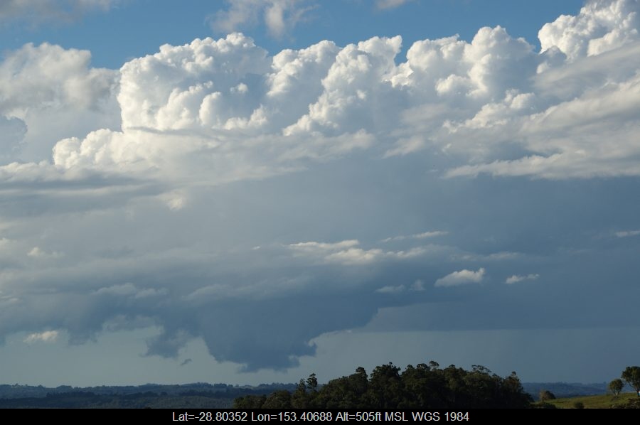 20080620mb08_congestus_mcleans_ridges_nsw