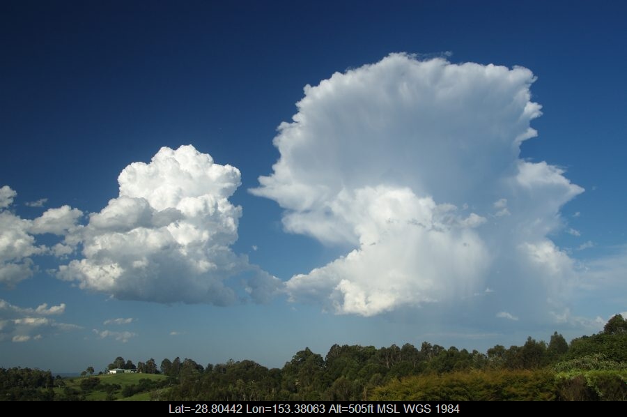 20081219mb11_congestus_mcleans_ridges_nsw