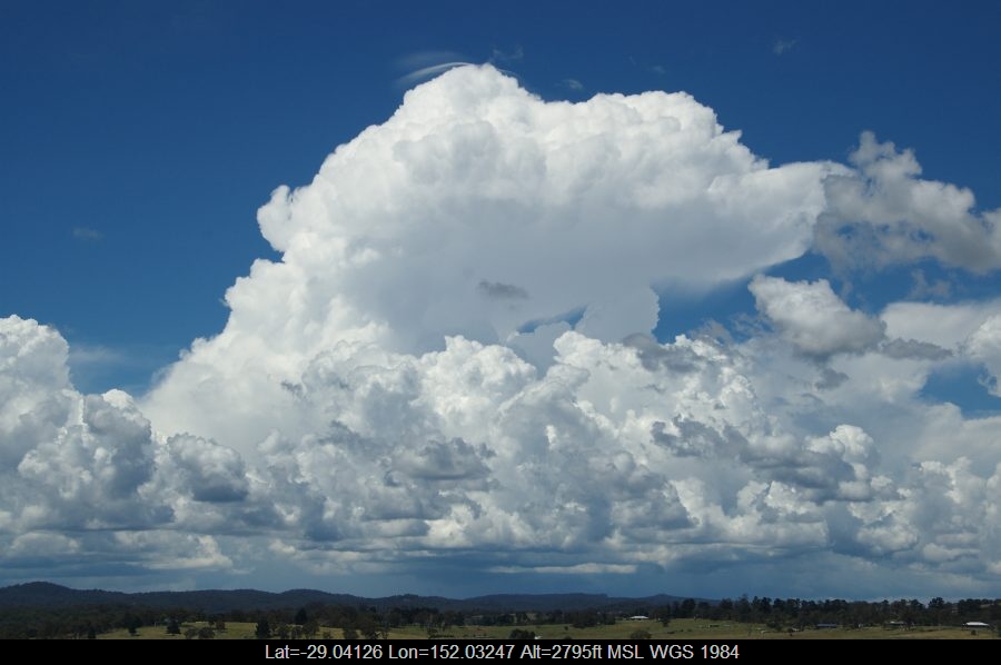 20090124mb18_congestus_tenterfield_nsw