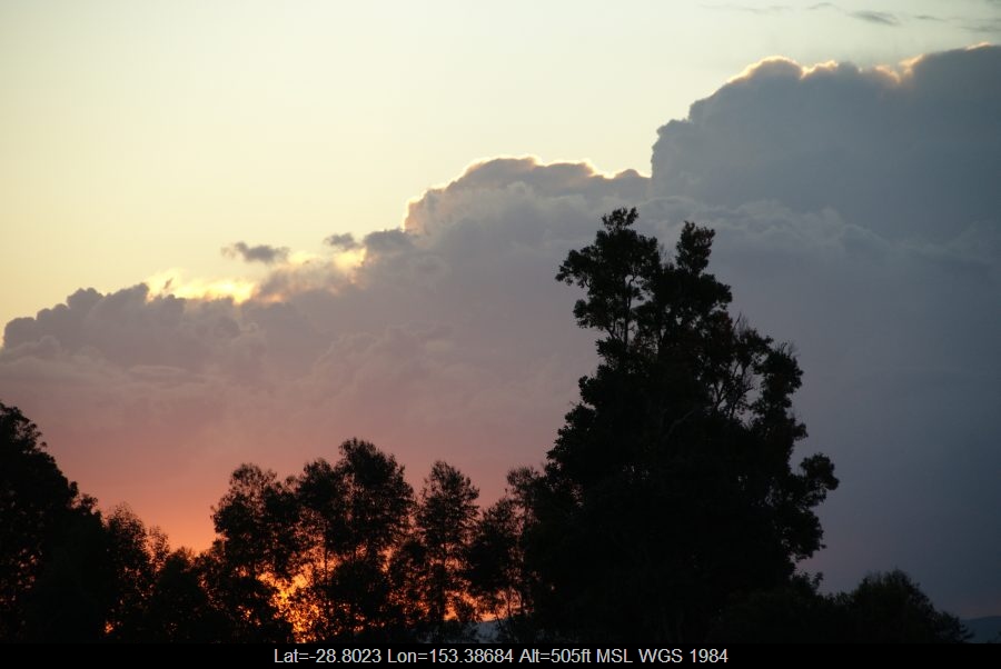 20090812mb04_congestus_mcleans_ridges_nsw