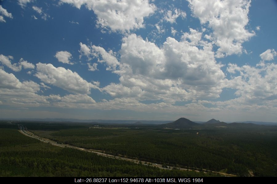 20061028mb02_humilis_glasshouse_mountains_qld