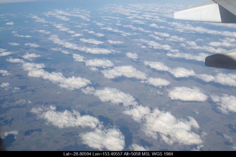 20090804mb04_humilis_nsw