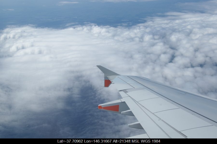 20090820mb06_humilis_vic