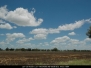 Cumulus Humilis