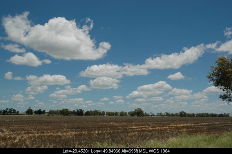 Gallery: Cumulus Humilis