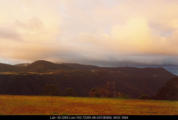 19900609mb01_mediocris_dorrigo_nsw