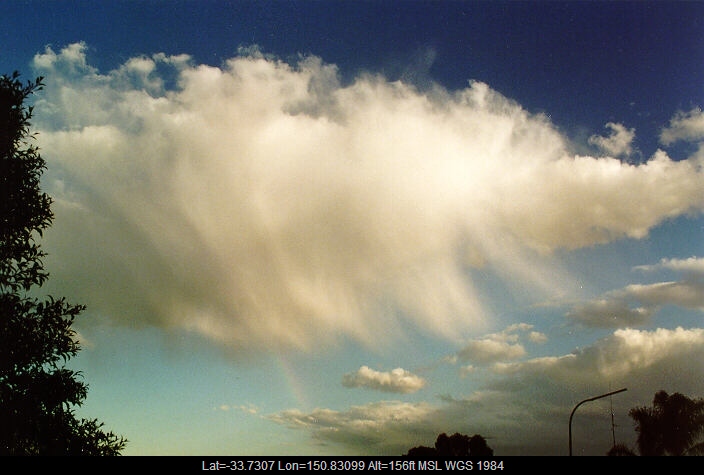 19970926mb02_mediocris_oakhurst_nsw