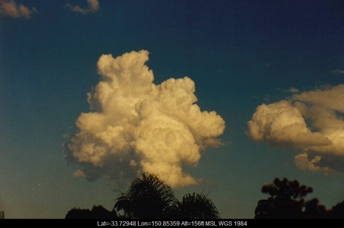 19990314mb02_mediocris_oakhurst_nsw