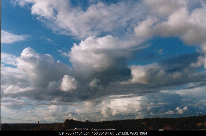 19990410jd03_mediocris_schofields_nsw