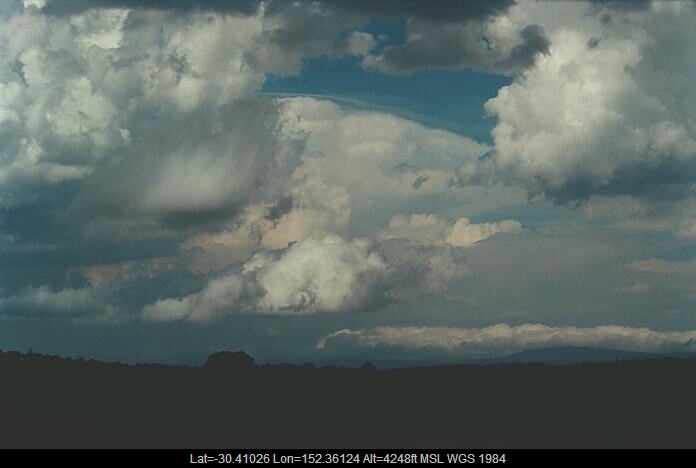 20010117jd06_mediocris_near_ebor_nsw