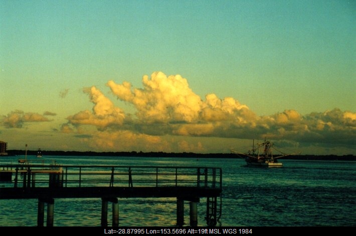 20010505mb01_mediocris_ballina_nsw