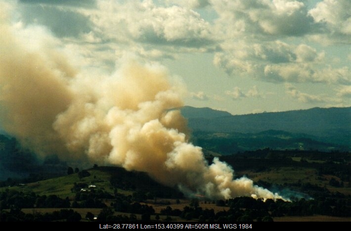 20010918mb01_mediocris_mcleans_ridges_nsw