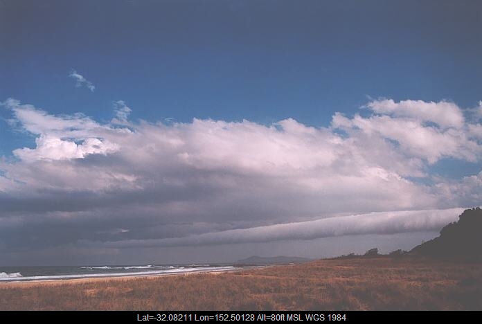 20011003jd41_mediocris_hallidays_point_nsw