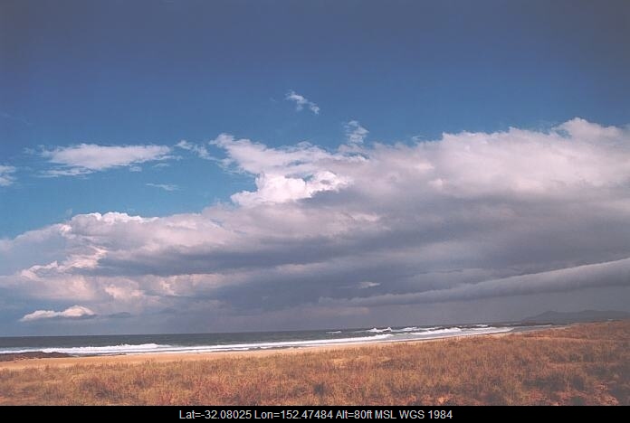 20011003jd42_mediocris_hallidays_point_nsw