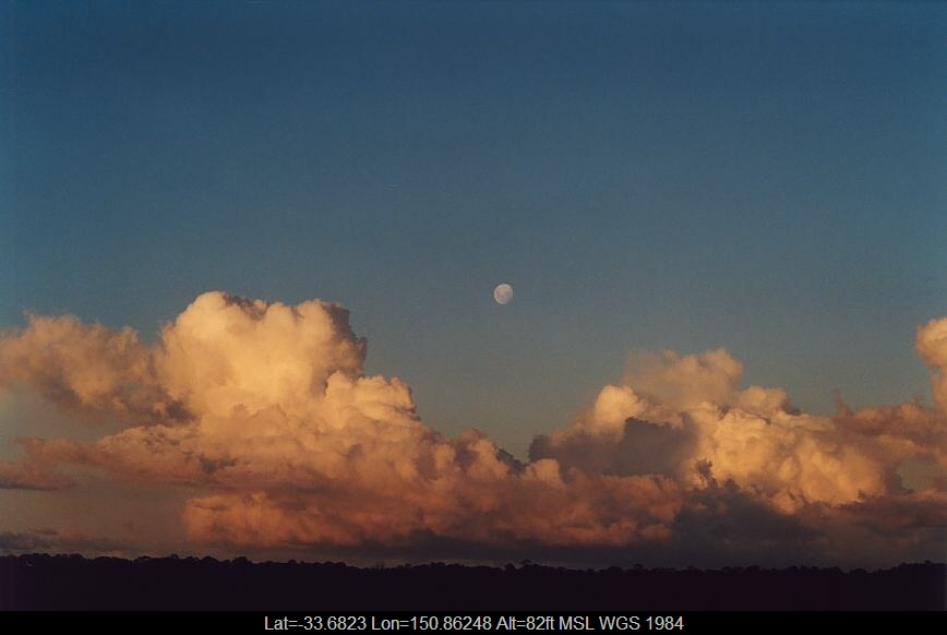 20030316jd01_mediocris_schofields_nsw