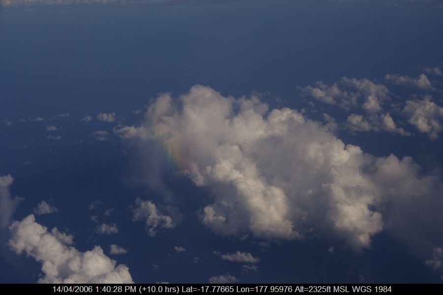 20060414jd09_mediocris_e_of_nsw_pacific_ocean
