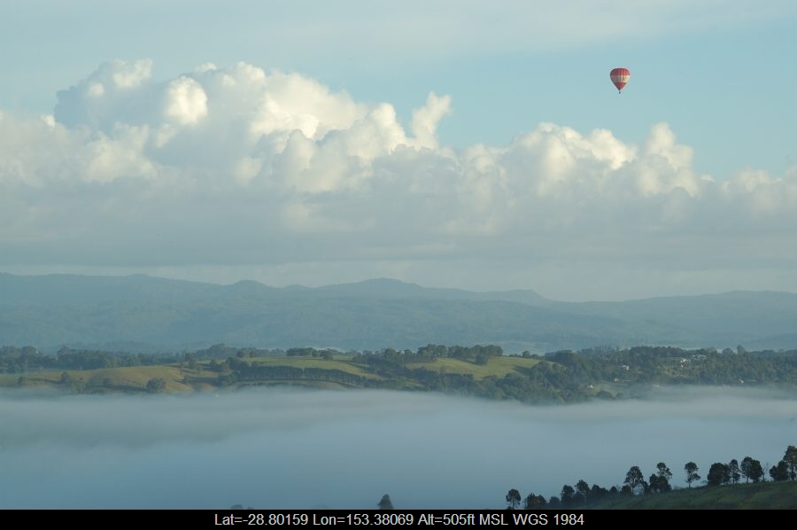 20070216mb02_mediocris_mcleans_ridges_nsw