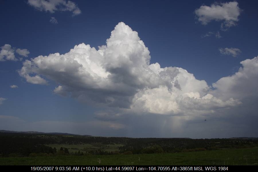 20070518jd050_mediocris_near_devils_tower_wyoming_usa