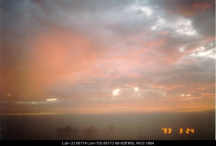 19930324jd01_castellanus_schofields_nsw