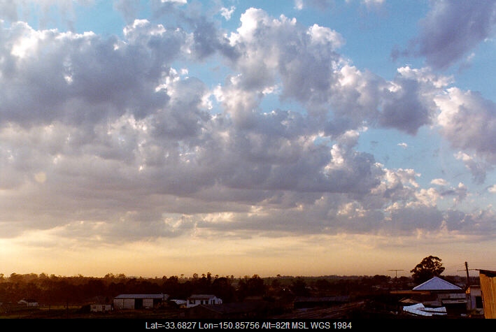 19970209jd01_castellanus_schofields_nsw