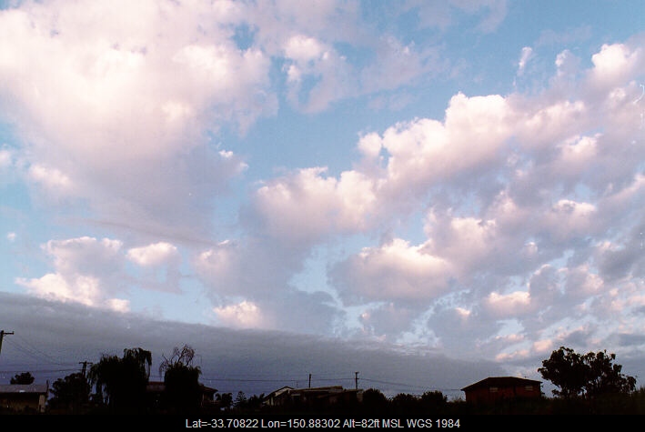 19970227jd04_castellanus_schofields_nsw