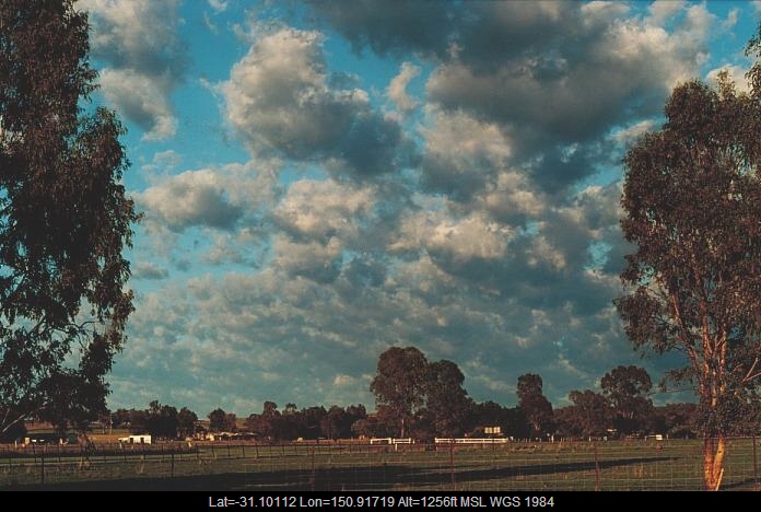 20001104jd03_castellanus_tamworth_nsw