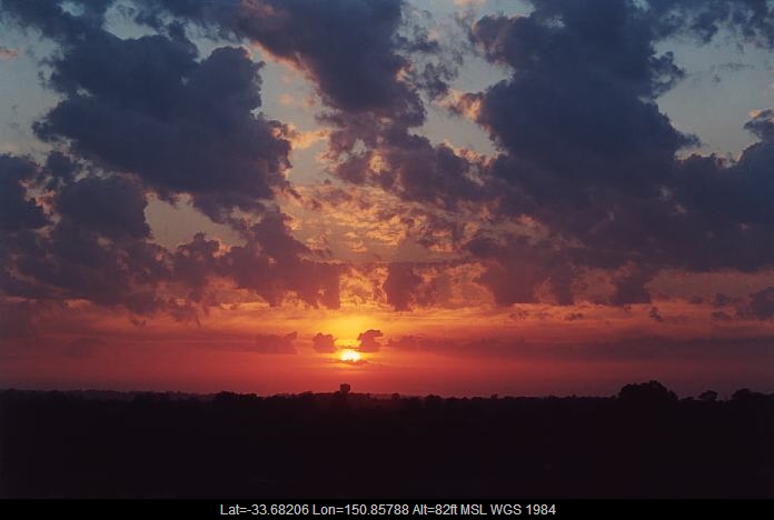 20011105jd01_castellanus_schofields_nsw