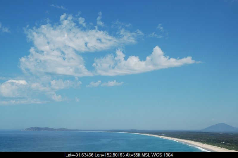 20050924mb02_castellanus_laurieton_nsw