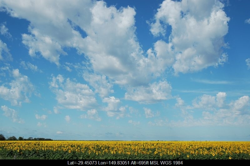 Gallery: Altocumulus Castellanus