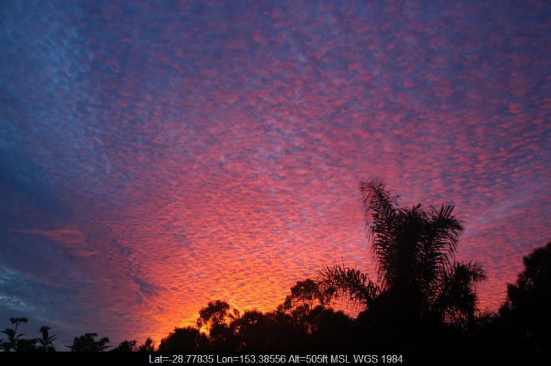 20060307mb02_mackerel_sky_mcleans_ridges_nsw
