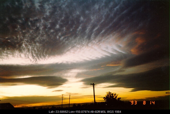 19930814jd01_undulatus_schofields_nsw