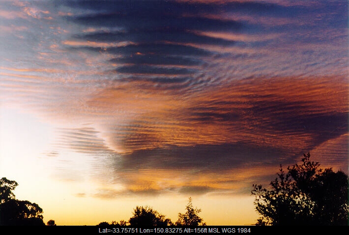 19950711mb01_undulatus_oakhurst_nsw